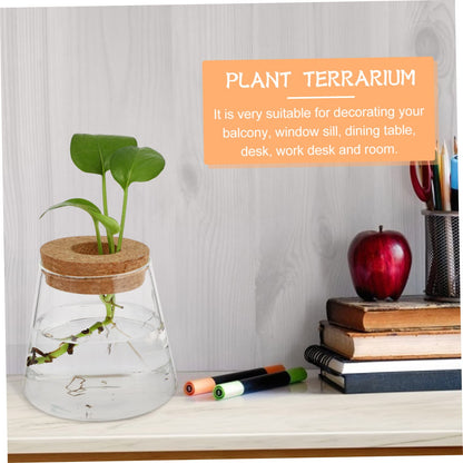 Garneck 2Pcs Hydroponic Plant Vases Clear Glass Terrarium Garden Decoration for Home Office Floral Arrangement and Nature Lovers Gift