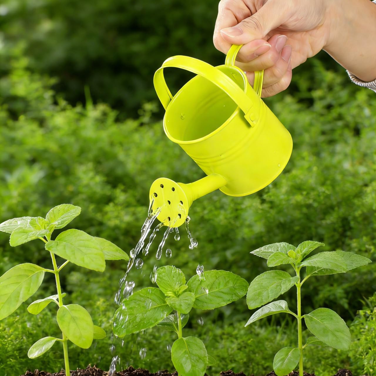 TOYANDONA 5pcs Mini Watering Cans - Small Watering Cans Garden Metal Iron Water Pot for Plants Flowers Bonsai Indoor Outdoor Garden (Random Color)