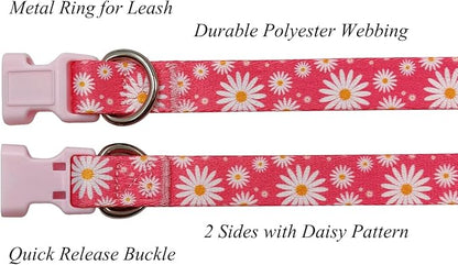 Dog Collar Leash Set, Floral Pattern, Polyester Material, Adjustable Collar and 5ft Matching Leash, for Small Dogs.(S, Daisy)