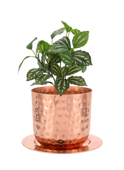 Glytterati - Indoor Watering Can and Planter with Plate.