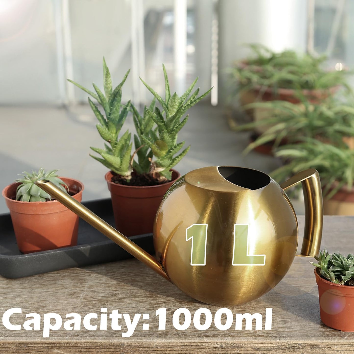 Chemlliy Watering Can with Long Spout and Comfortable Handle, 35 oz/1000ml Small Watering Can for Indoor Plants, Stainless Steel Garden Watering Pot for Indoor House Plants Bonsai Flower Decorative