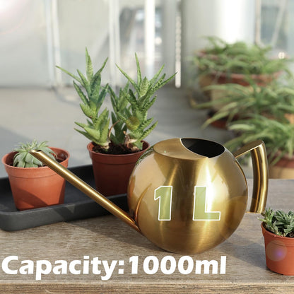 Chemlliy Watering Can with Long Spout and Comfortable Handle, 35 oz/1000ml Small Watering Can for Indoor Plants, Stainless Steel Garden Watering Pot for Indoor House Plants Bonsai Flower Decorative