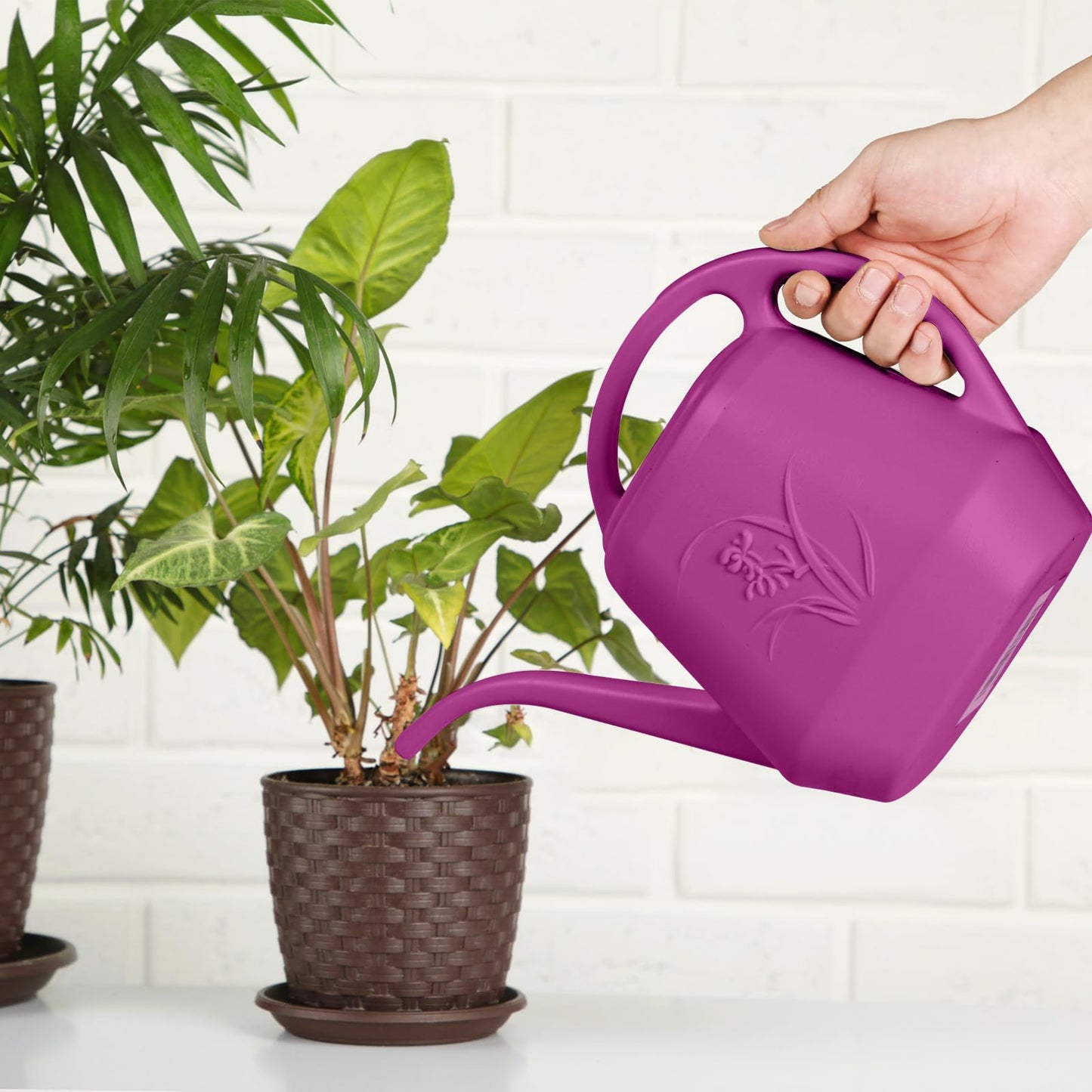 ZXJ Plant Watering Can - for Indoor and Outdoor Home Garden Plants - with Long Spout - Rose Red - 1/2 Gallon
