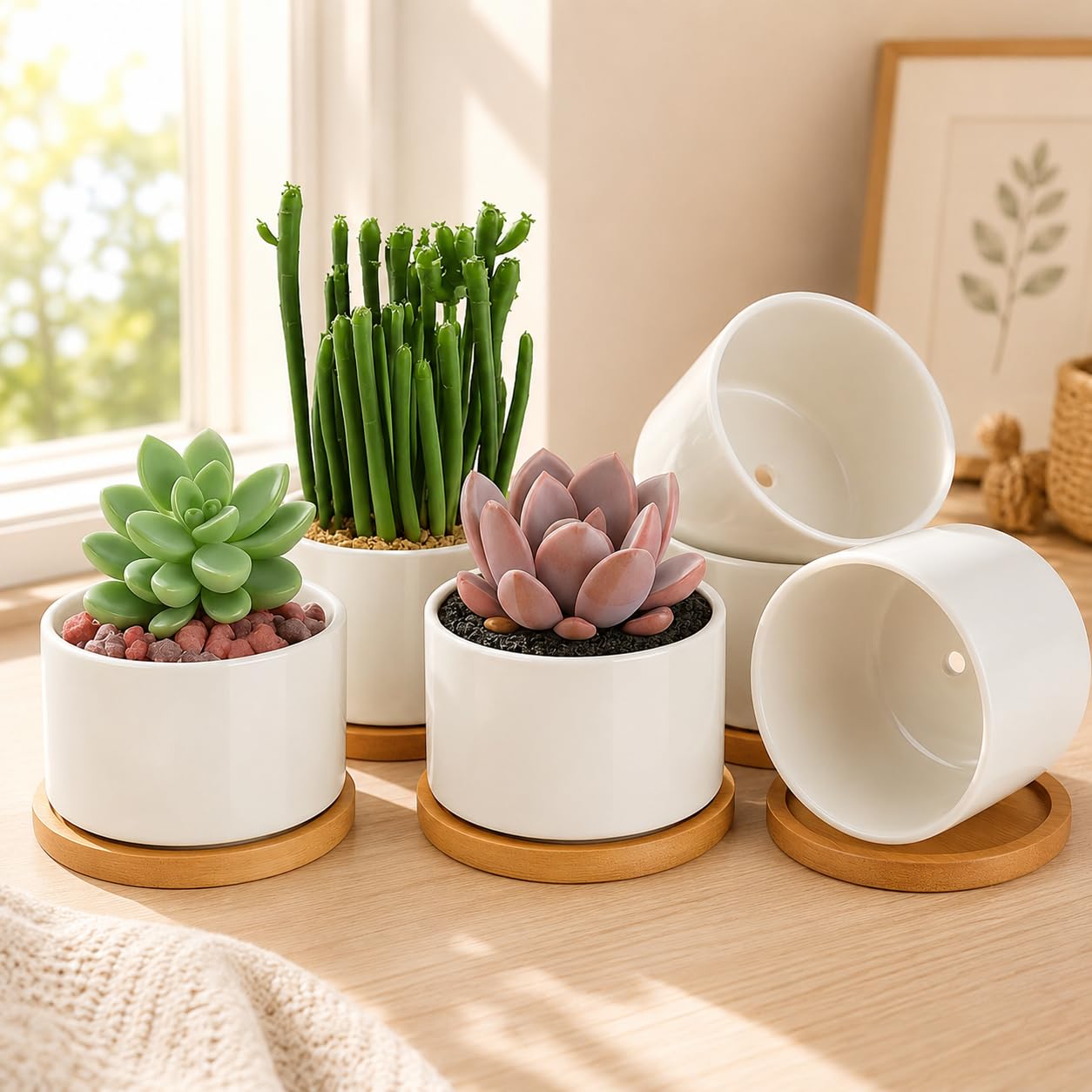 ZOUTOG Ceramic Succulent Pots,3.6 Inch Plant Pots,Succulent Planters with Drainage Hole & Bamboo Tray for Indoor Plants,White Small Flower Planters for Home,Office,Desk(6 Pack)