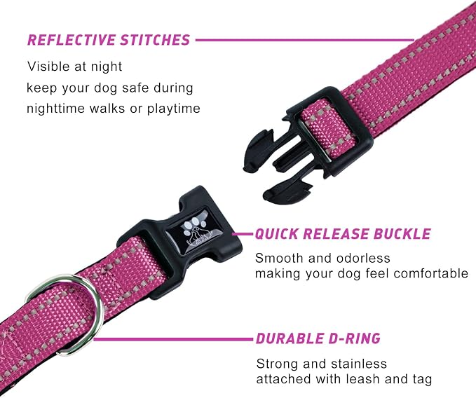 FURRYFECTION Reflective Dog Collar and Leash Set with Quick Release Buckle, Padded with Neoprene Adjustable Nylon Dog Collar for Small Medium and Large Dogs (Medium Collar+5FT Leash, Hot Pink)