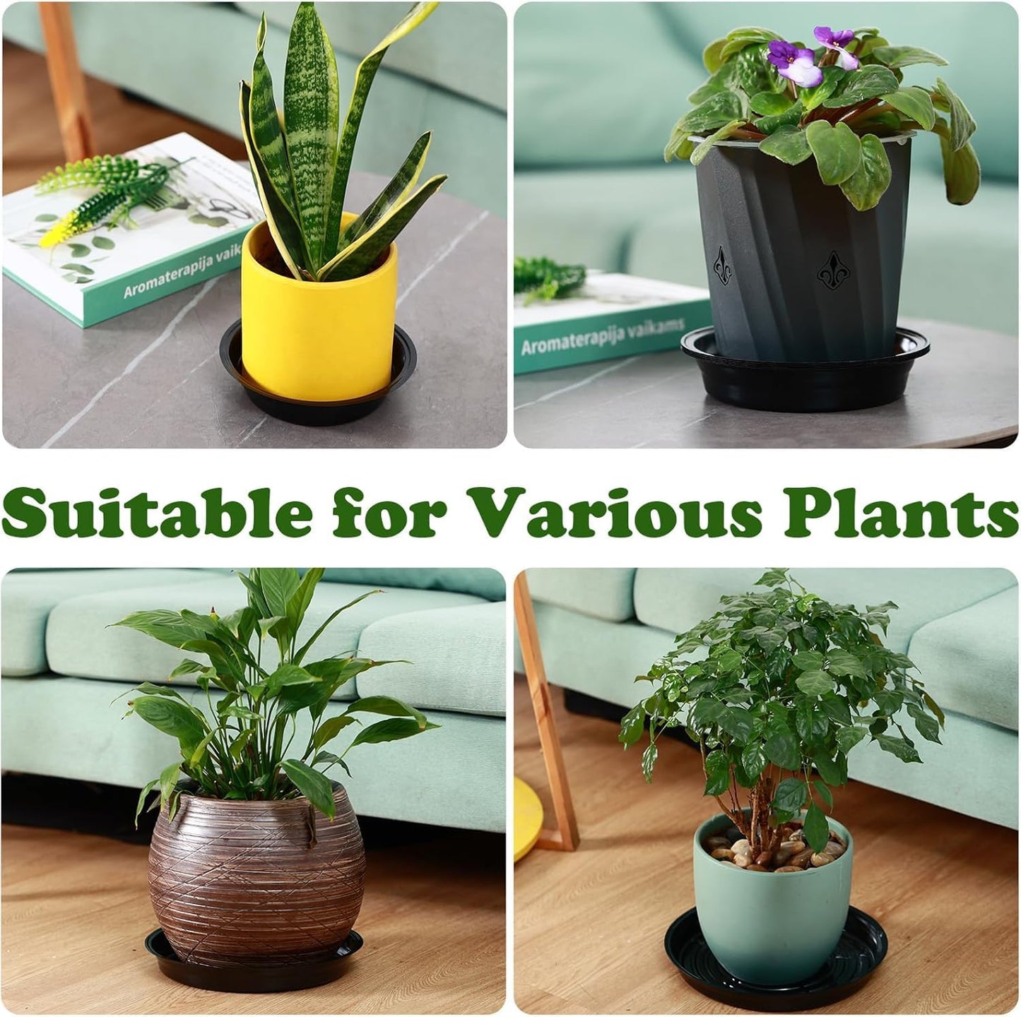 50 Packs 4 Inches Small Plant Saucers for Indoor Outdoor Use Heavy Duty Plastic Plant Plate Dish for Planter Bulk Round Flower Pot Drip Trays to Catch Water 4 to 20 Inch, Black