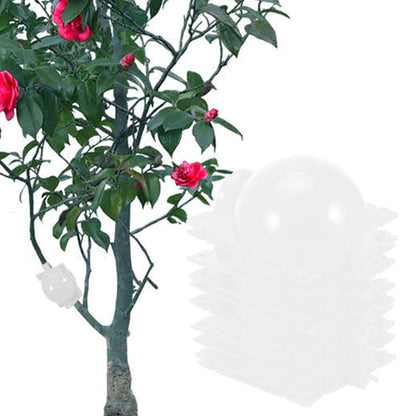 Alvinlite 5 Set Tree Root Growing Box, Reusable Plant Rooting Device Air Layering Propagation Kit High Pressure Plant Rooting Grafting Box for Fast Propagation Plants (Clear)