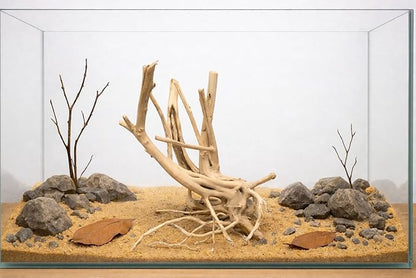 Azil spiderwood Natural Aquarium