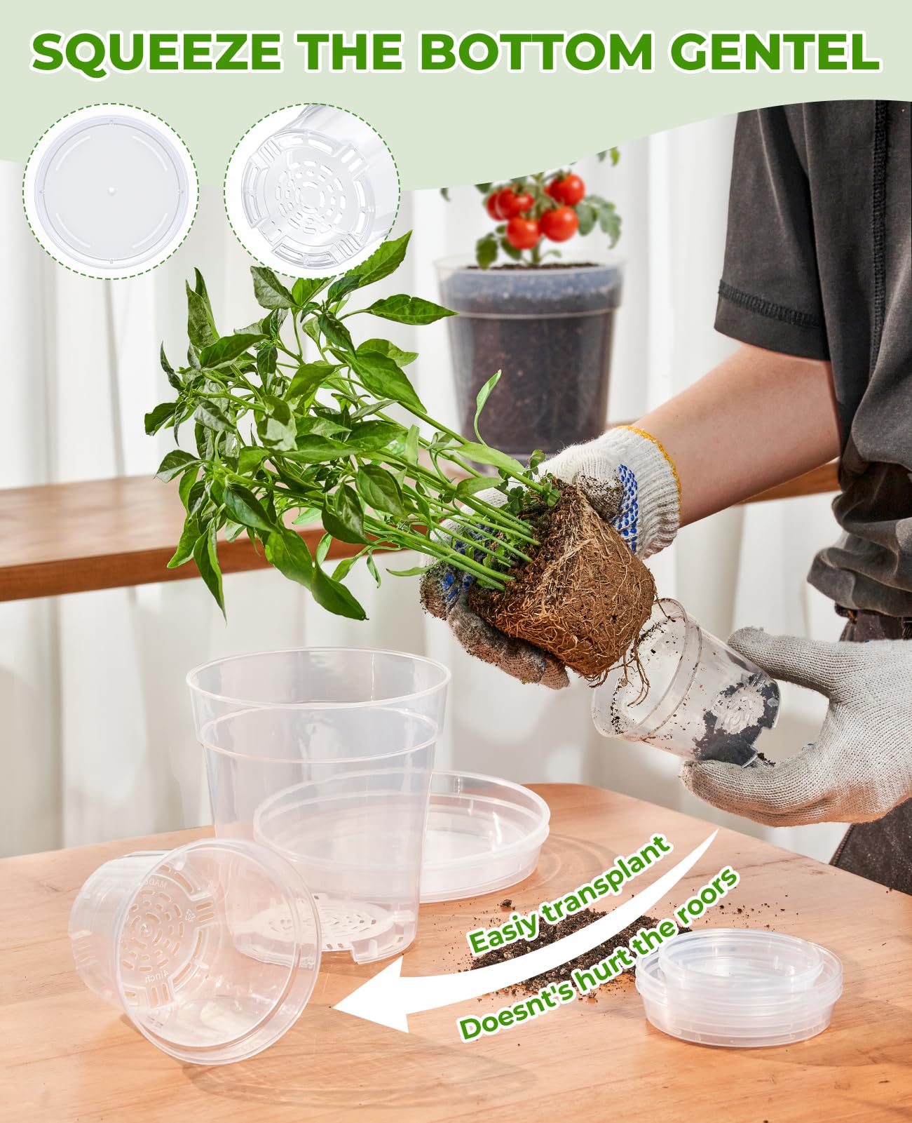 homenote 6.7 Inch Clear Nursery Pots 14 Pack with Drainage and Plant Saucers, Rigid High Transparency Plastic Nursery Pots for Plants,Thick Walled Planter Nursery Pots with Upgraded Drainage Holes