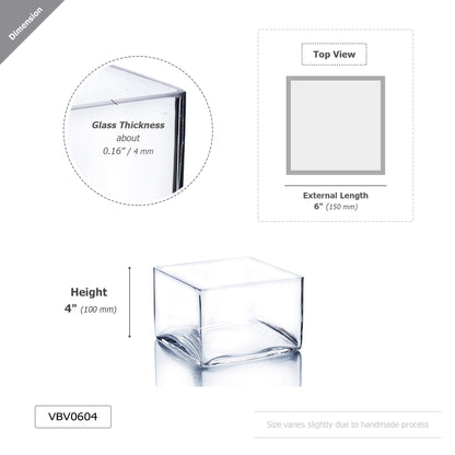 WGV Square Block Glass Vase, Length 6", Height 4", Clear Planter Terrarium, Floral Container for Wedding Party Event, Home Office Decor, 1 Piece