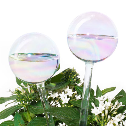 Tomorotec [2 PCS] Light Iridescent Rainbow Gradient Color Clear Glass Self-Watering System Spikes, Automatic Plant Waterer Bulbs