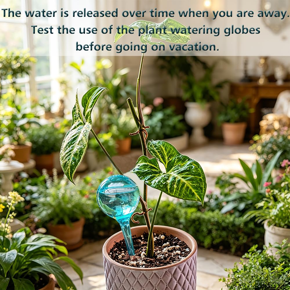 Logresy Plant Self Watering Globe, Small 6pcs Plant Watering Stakes Automatic Plant Watering Bulb System Spikes, Flower Automatic Watering Device, Garden Self Waterer for Indoor Outdoor Plant