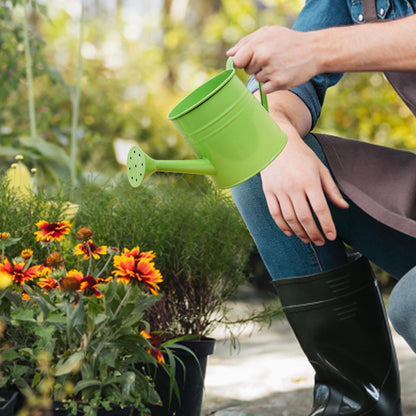 Small Watering Can, 1L Metal Flower Garden Watering Can, Gardening Tool Accessories for Outdoor Indoor Plants Lawn (Green)