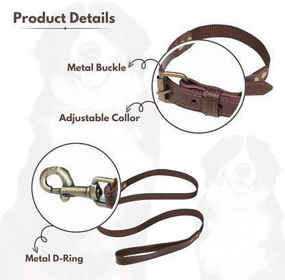 Lightnpro Heavy-Duty Dog Collar & Leash Set - 24" Adjustable Nylon Collar (Coffee Brown) with Secure Metal Buckle & Matching Leash - Durable Walking & Training Gear for Medium & Large Breeds