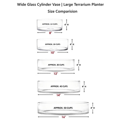 CYS EXCEL Wide Cylinder Clear Glass Vase (H:4" D:12") Flower Vase Centerpieces Hurricane Floating Pillar Candle Holder Terrarium Planter
