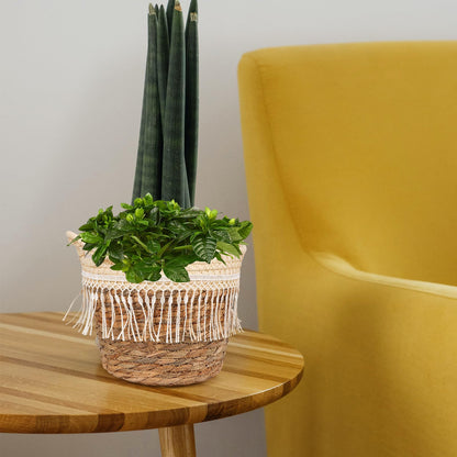 Alipis Boho Woven Planter Basket with Built-in Jute Liner Straw Rope Plant Container Holder for Indoor and Outdoor Use Decorative Plant Basket for Home Office Patio 8.26X7.48X6.69 Inches