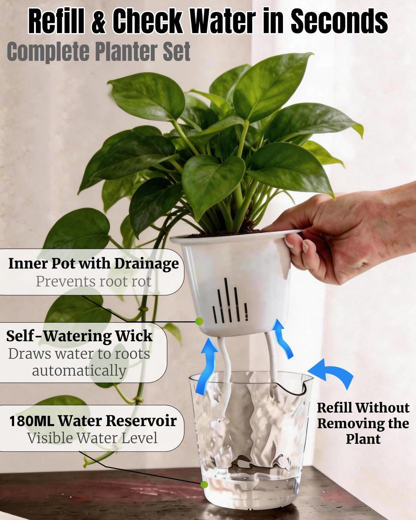 BovcTrraann 3-Pack Clear Self Watering Plant Pots, 5 Inch Clear Flower Pots with Drainage Holes, Tray and Rope, Plastic Self Watering Planters for Indoor Outdoor Garden Plants, African Violet, Herbs