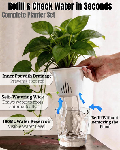 BovcTrraann 3-Pack Clear Self Watering Plant Pots, 5 Inch Clear Flower Pots with Drainage Holes, Tray and Rope, Plastic Self Watering Planters for Indoor Outdoor Garden Plants, African Violet, Herbs