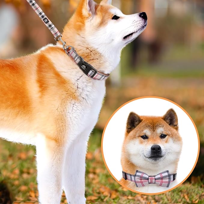 IVY&LANE Dog Collar with Bowtie and Leash Set | Plaid Adjustable Dog Collar | Detachable Bow Tie |5 FT Dog Leash | for Small Medium Large Dogs | Checkered Beige | Small