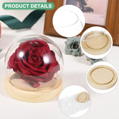 M METERXITY Cloche Glass Dome, D3.9In Ball Jar with Wooden Base for DIY Snow Globes/Small Plants/Flowers/Candles/Models/Souvenirs, Glass Display Case [Wood]