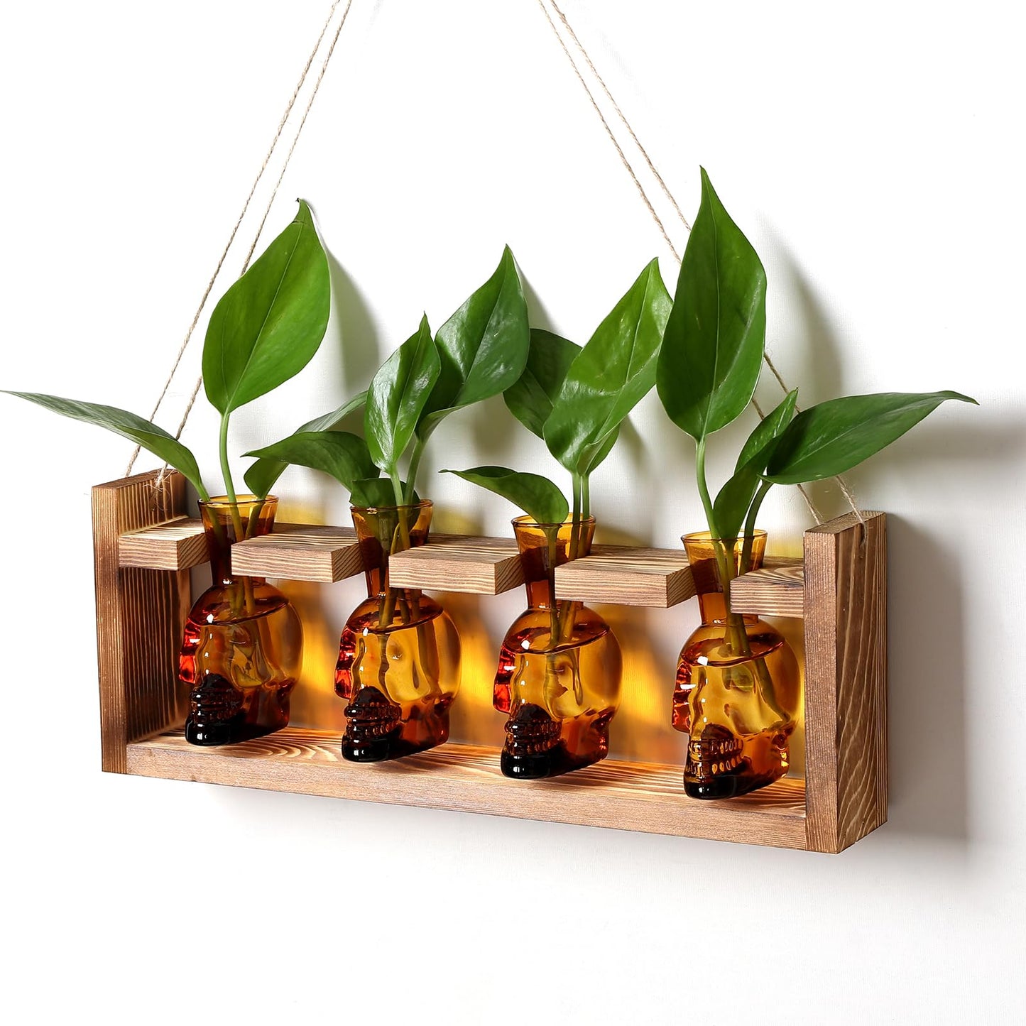 CYZglass Plant Propagation Stations Halloween Skull Plant Terrarium Kit Glass Vases Gift for Father Air Planter Home Office Decor