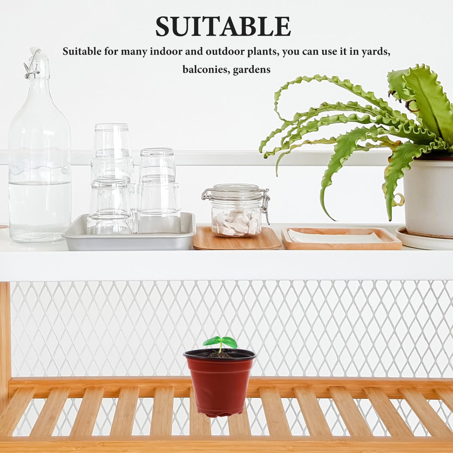 Kisangel 100pcs Plastic Strawberry Nursery Cups Germination Seedling Pots with Drainage for Garden Propagation and Indoor Outdoor Plant Growing