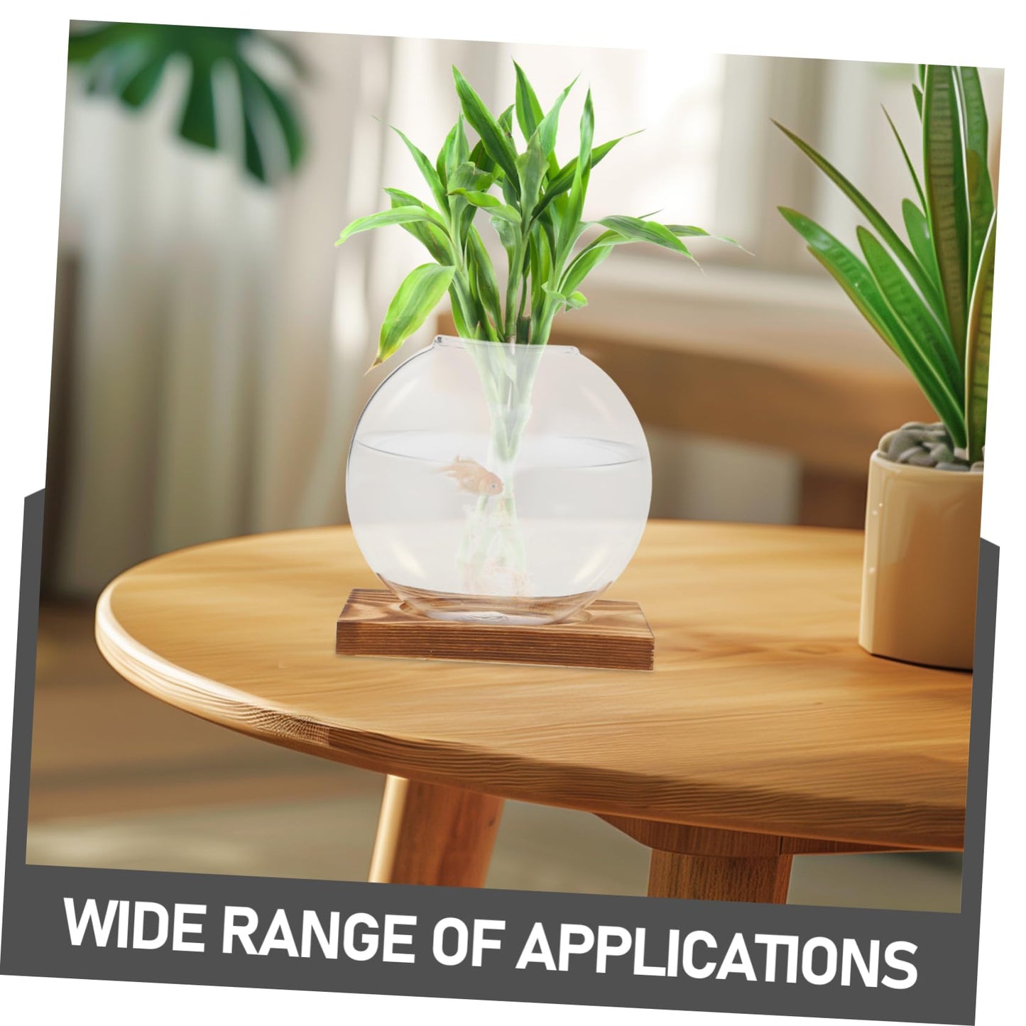 KESYOO Creative Hydroponic Vase with Transparent Glass Pot and Wooden Base for Soilfree Plant Propagation Indoor Terrarium and Elegant Flower Display Easy Setup and Maintenance