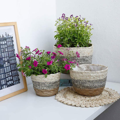 Operitacx Handmade Sea Grass Plant Basket 2 Pack Decorative Flower Holder Baskets for Home