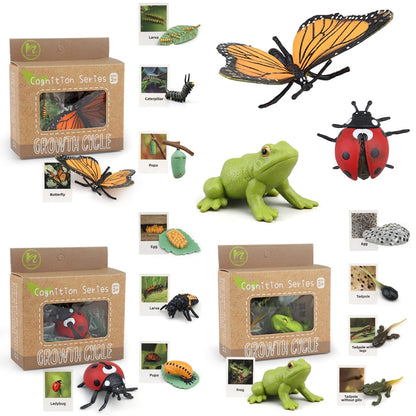MIKNEKE Montessori Life Cycle Learning & Education Toys, Plastic Insect Ladybug Monarch Butterfly Tadpole to Frog Kit Life Cycle Toys for Kids, Preschool Learning Activities for Toddlers