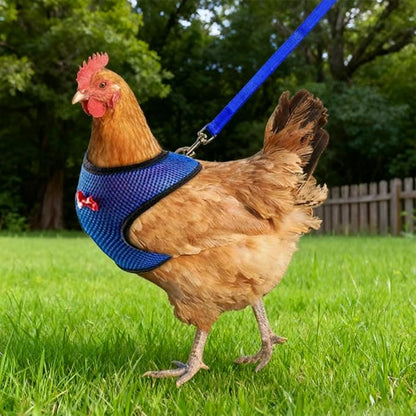 Chicken Harness and Leash Set Adjustable Mesh Breathable Duck Training Harness Pets Leashs for Goose Hen Rooster Parrots Dog Kitten, Blue M