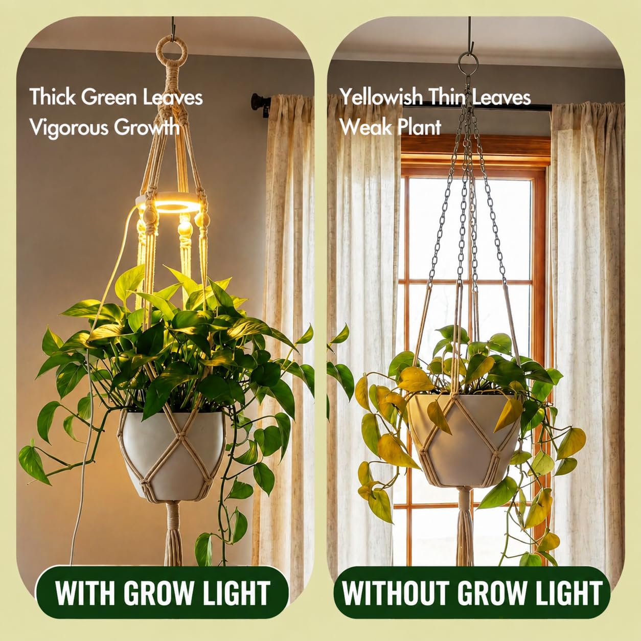 Lazukes Hanging Plant Grow Lights for Indoor Plants with Timer, Wall Mounted Full Spectrum Pendant Growing Light with Macrame Plant Hanger, Ceiling LED Planta Luz for Potted Plants Home Decor