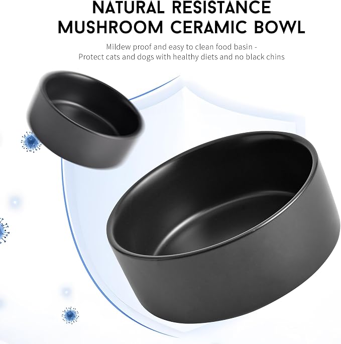 Mowtanco Black Ceramic Dog & Cat Bowl Set – 13.5 OZ with Wooden Stand, Non-Slip, Elevated Design for Small Dogs & Cats – 2 Bowls (Food & Water, Ceramic Pet Bowls, Modern Dog Bowls)