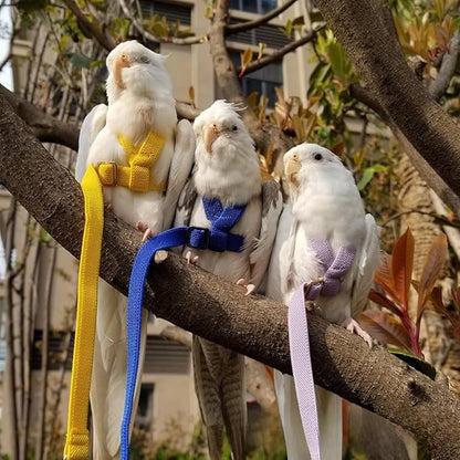 Adjustable Bird Harness with Elastic Leash, Pet Parrot Harness and Leash, Adjustable Training Design Anti-Bite, Bird Nylon Rope with Cute Wing for Conure (Red,S)
