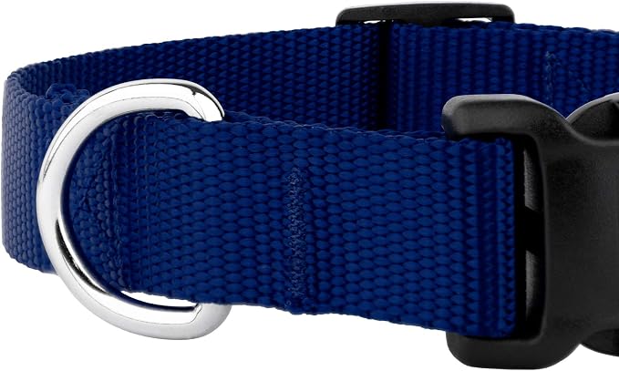 Country Brook Petz - Everyday Nylon Dog Collar and Leash - 10+ Cool Colors (3/4 Inch, Small, Royal Blue)
