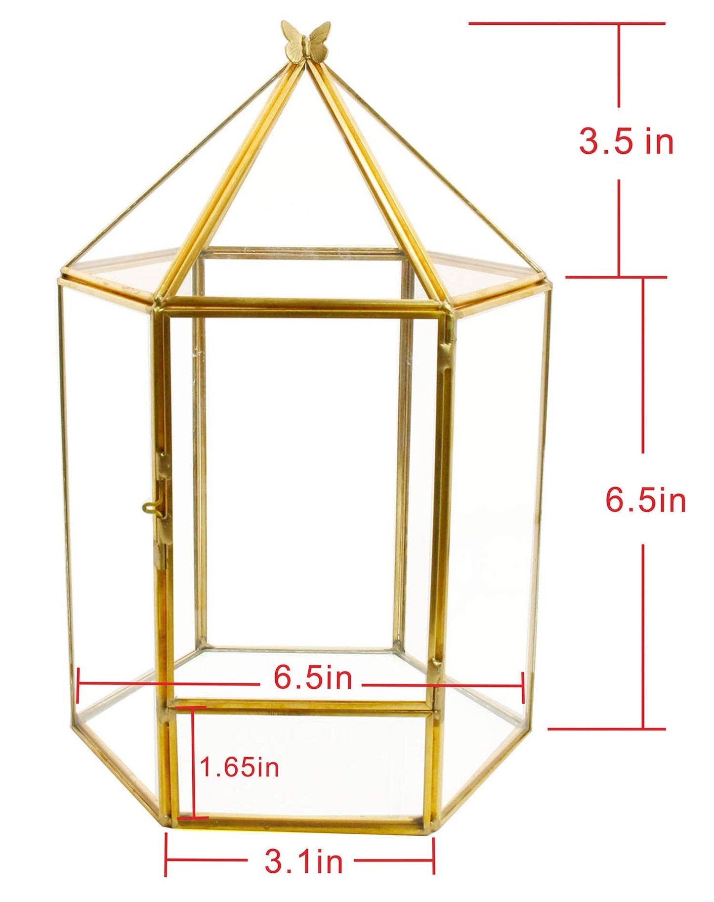 ELEGANTLIFE Glass Geometric Plant Terrarium,Succulent & Air Planter for Home Garden Office Decoration,No Plants(Gold Hexagonal)