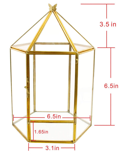ELEGANTLIFE Glass Geometric Plant Terrarium,Succulent & Air Planter for Home Garden Office Decoration,No Plants(Gold Hexagonal)