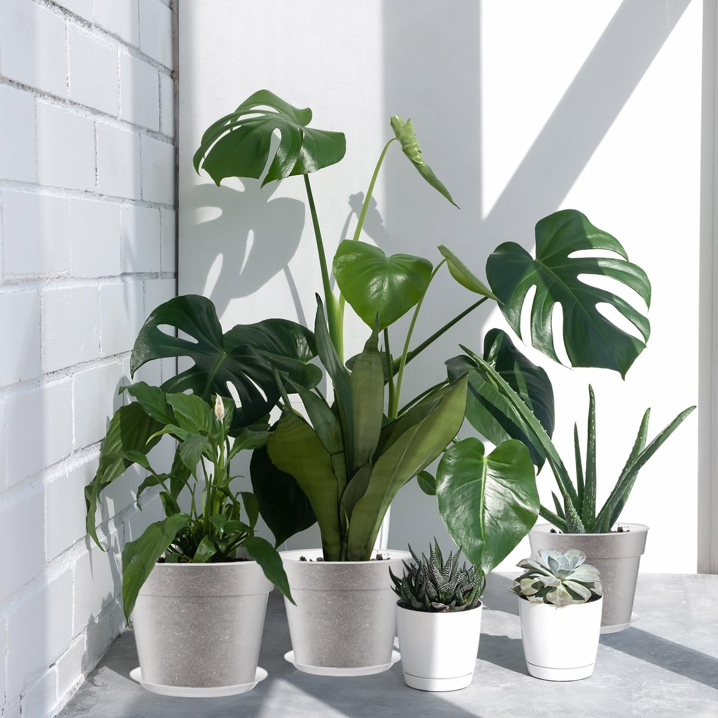 Baderke 3 Pack Clear Nursery Pot Plastic Nursery Pot Large Plant with Drainage Holes for Root Health Indoor Outdoor (9.25 Inches,9.65 Inches,11.65 Inch)