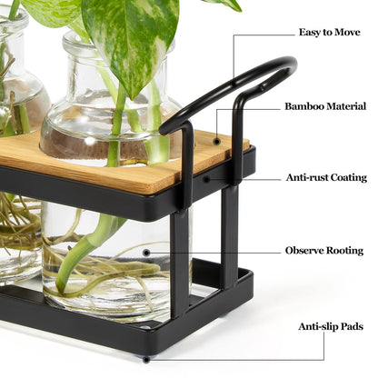 THYGIFTREE Plant Propagation Stations with Metal Stand, Tabletop Plant Terrarium for Propagating Hydroponic, Retro Glass Planter Flower Vase Home Kitchen Office Decor Gifts, 5 Jars