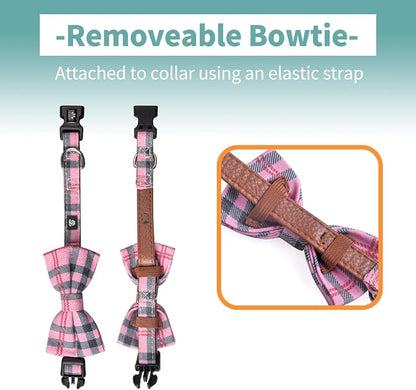 IVY&LANE Dog Collar with Bowtie and Leash Set | Plaid Adjustable Dog Collar | Detachable Bow Tie |5 FT Dog Leash | for Small Medium Large Dogs | Checkered Pink | Large