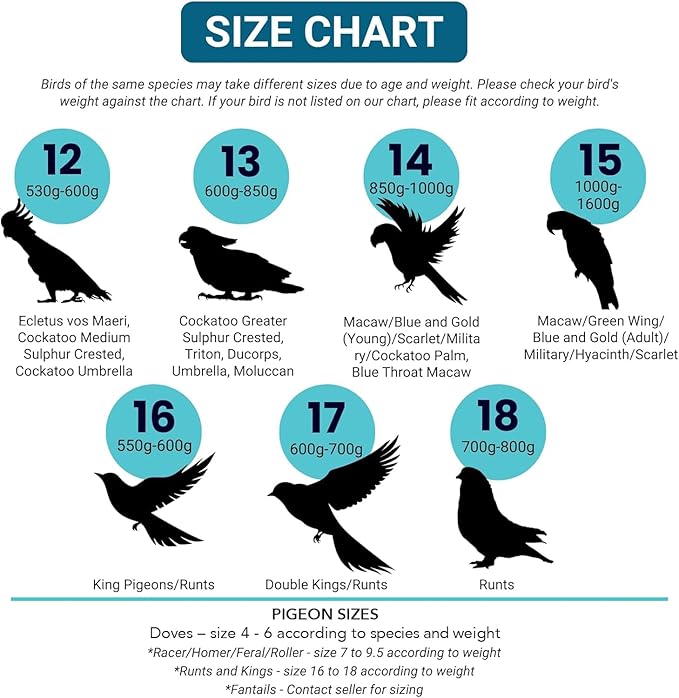FLYPER Adjustable Mini Bird Diaper | Reusable, Washable Cloth | Comfort Fit for Parrots, Cockatiels, and Other Small Birds | Fashionable Avian Accessories Size 4.5