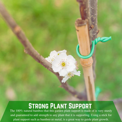 Farm Plastic Supply - Bamboo Garden Stakes - Bambo Sticks, Bamboo Plant Stakes for Outdoor Plants, Plant Support Stakes for Indoor Plants (7 Foot, 100)