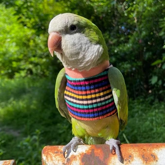 Bird Clothes - Handmade Cotton Stripe Shirt Round Collar Sweater Flight Suit for Parrots African Greys Parakeet Cockatiel Sun Conure Christmas Halloween (Without Diaper,S)