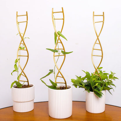 GOOOXIM Indoor Plant Trellis for Potted Plants - Durable Metal Climbing Trellis with Unique DNA Spiral Design for Vining Plants, Easy Installation for Indoor & Outdoor Use