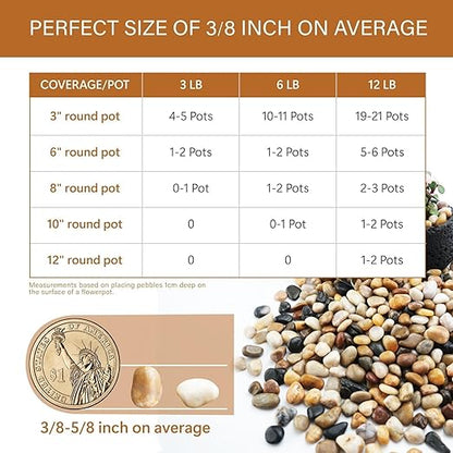 NUPICK 3lb River Rocks for Plants Indoor, 3/8 Inch Mixed Pebbles for Vase Fillers, Decorative Pea Gravel for Fish Tank, Natural Polished Stones for Succulent, Bonsai, Landscaping, Bird Baths