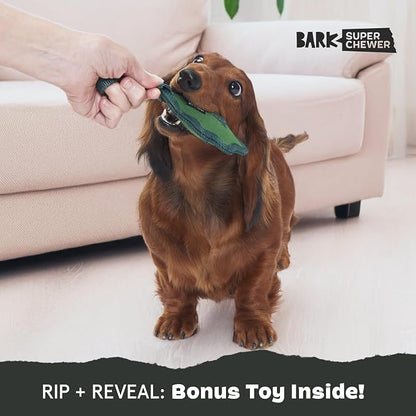 Barkbox Green Chew Leaf Dog Toy for Small Dogs – 2-in-1 Design with Mixed Textures and Surprises, Perfect for Tough Chewing and Playful Pups