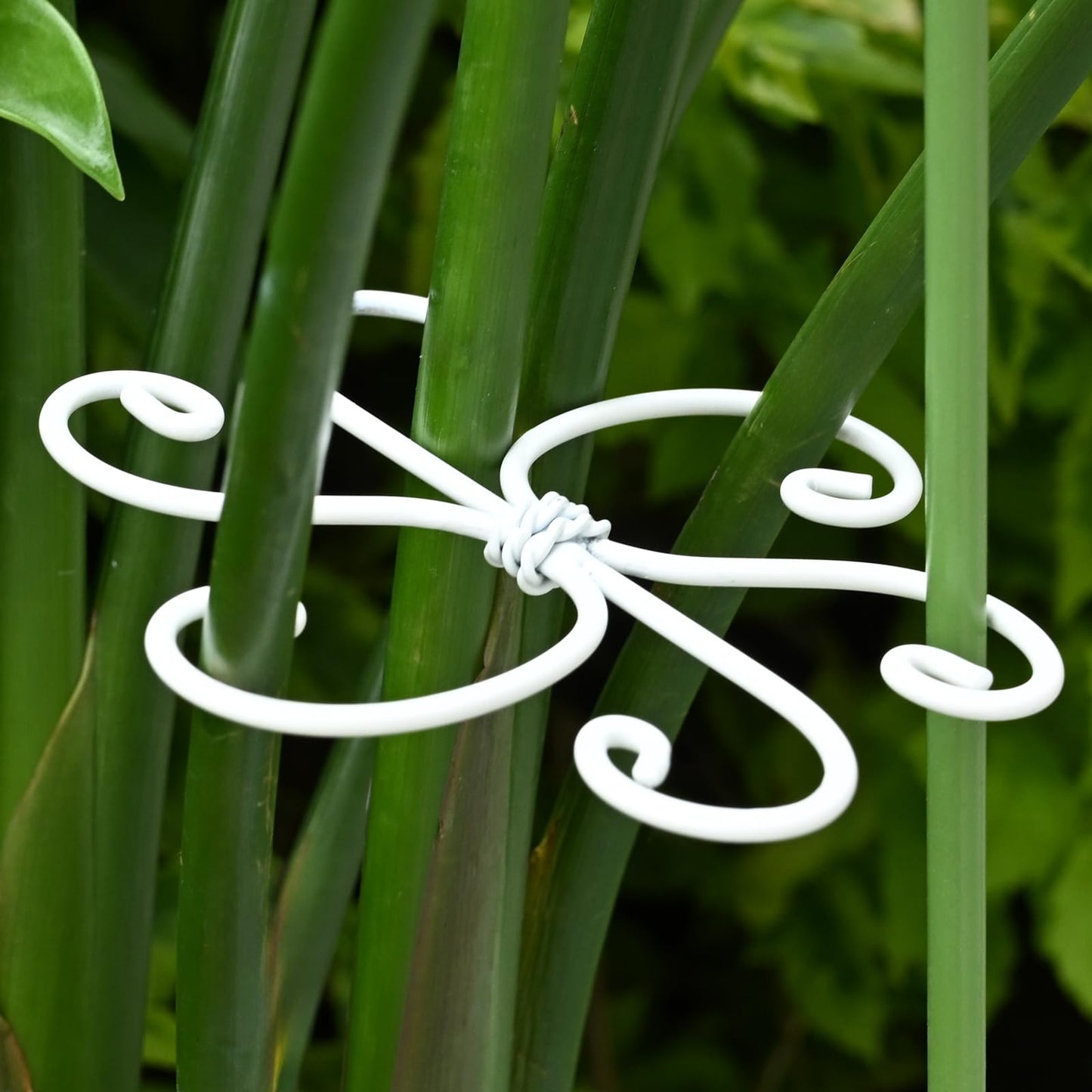 YOHSNOR 5PCS Monstera Plant Support Hook - 5.5x5.5 inch Premium Indoor Stem Stabilizer for Monstera & Fishbone Cactus, Durable,Easy Installation, Gentle Protection for Healthy Plant Growth