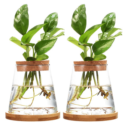 2pcs Glass Plant Propagation Station with Wooden Base Hydroponic Plants Vase for Indoor Decor Glass Terrarium Vase Jars Home Kitchen Decorations and Gifts for Planter Lovers