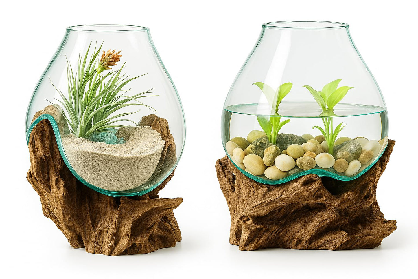 OMA Hand Blown Molten Glass on Driftwood Terrarium Vase or Planter – Recycled Glass & Natural Wood for Coastal & Boho Home Décor (12"–14" High)