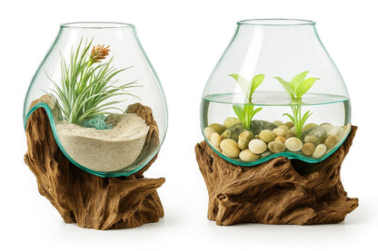 OMA Hand Blown Molten Glass on Driftwood Terrarium Vase or Planter – Recycled Glass & Natural Wood for Coastal & Boho Home Décor (12"–14" High)