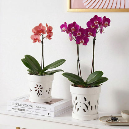 STHIE Small Orchid Pots with Holes 5 Inch & 6 Inch, Ceramic Orchid Pots for Repotting, 2 Pack Breathable Slotted Orchids Planter, White Flower